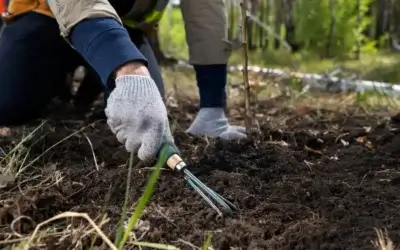 3 Hidden Risks That Could Derail Your DIY Build